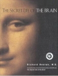 THE SECRET LIFE OF THE BRAIN